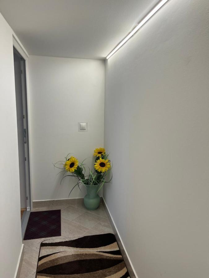 Vito Apartman Eger Eksteriør billede